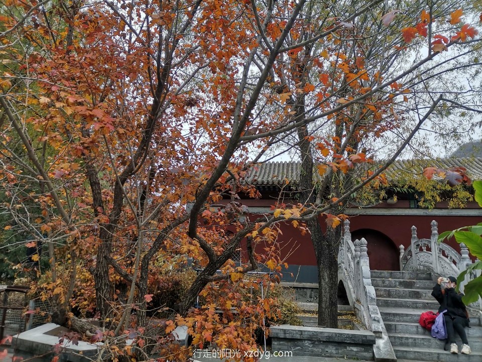 mmexport1667043269050_edit_70408640501755