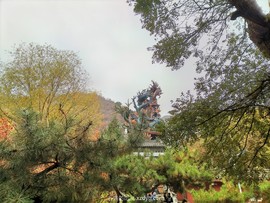 mmexport1667043277285_edit_70400905646548