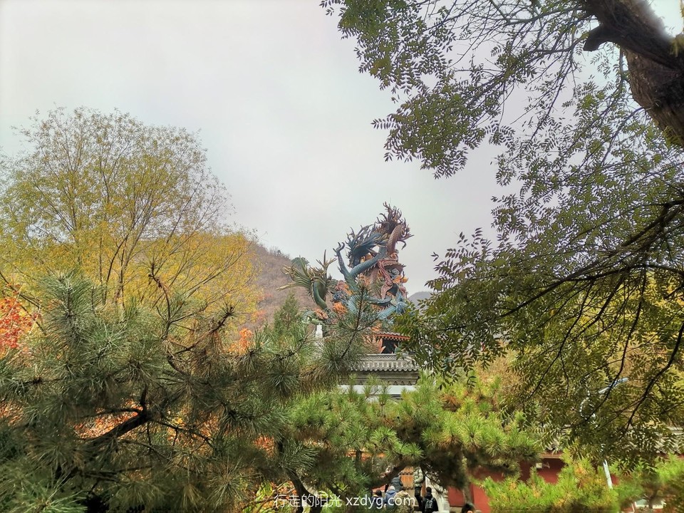 mmexport1667043277285_edit_70400905646548