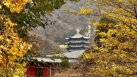 mmexport1667043364294_edit_70342445109057