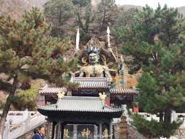 mmexport1667043317747_edit_70371103541344