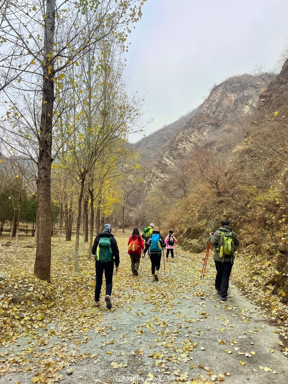 mmexport1667047268494_edit_74532784177689