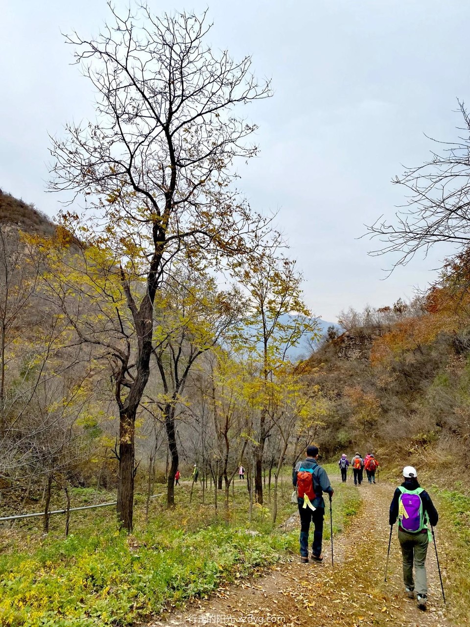 mmexport1667047554835_edit_74511530138629