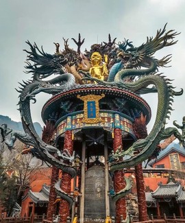 mmexport1667047235138