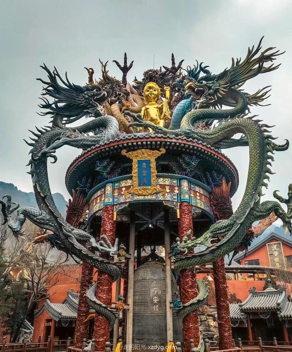 mmexport1667047235138