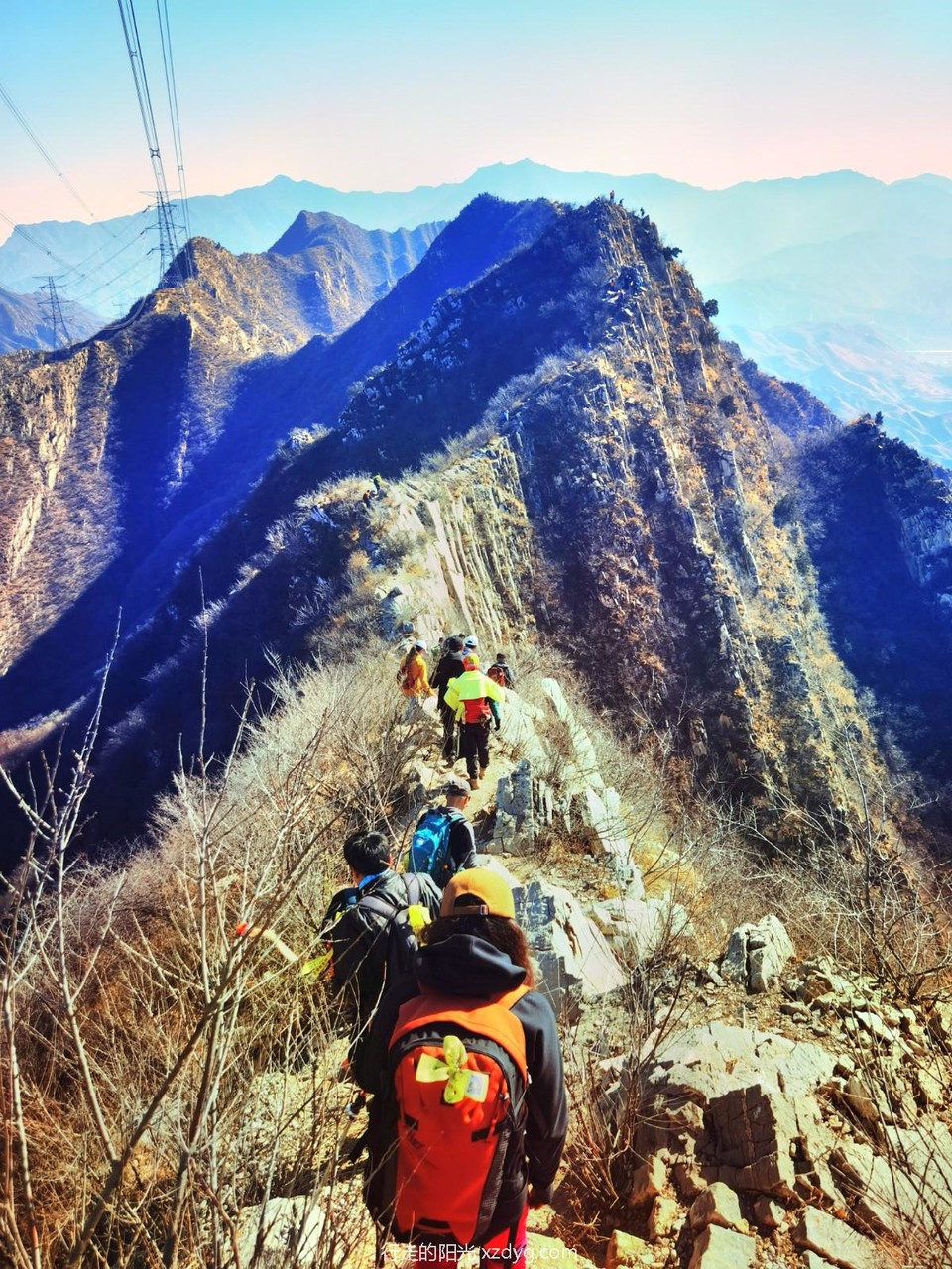 IMG_20221105_114621_edit_218308237273457