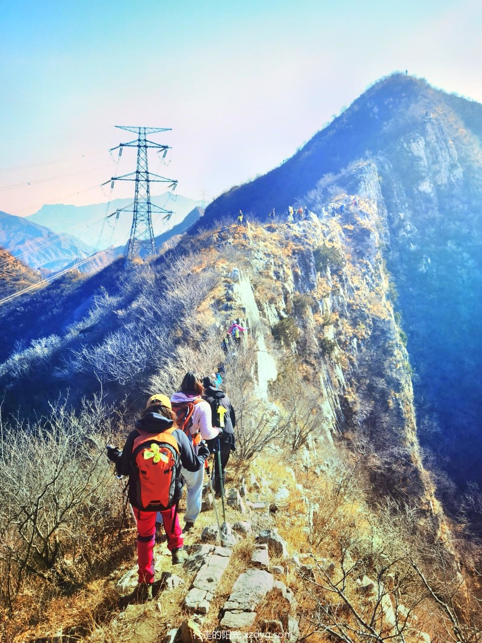 IMG_20221105_112906_edit_218292982846897