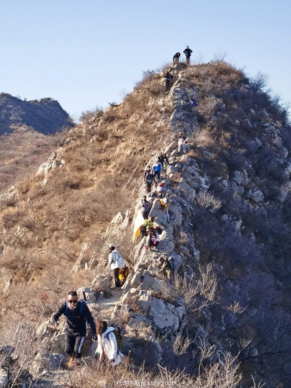 mmexport1667787296072_edit_218020142738085