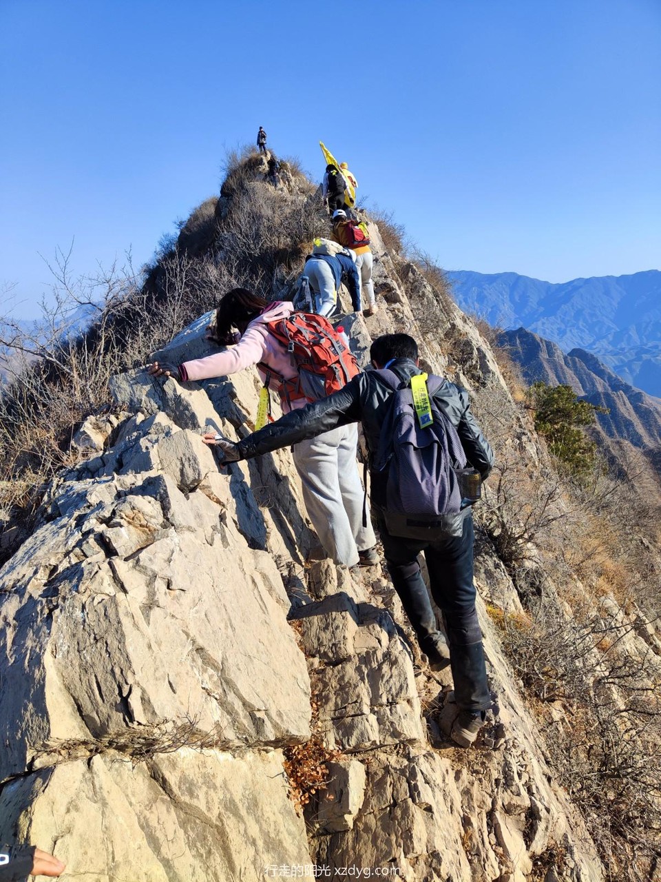 mmexport1667786694762_edit_217811817023012