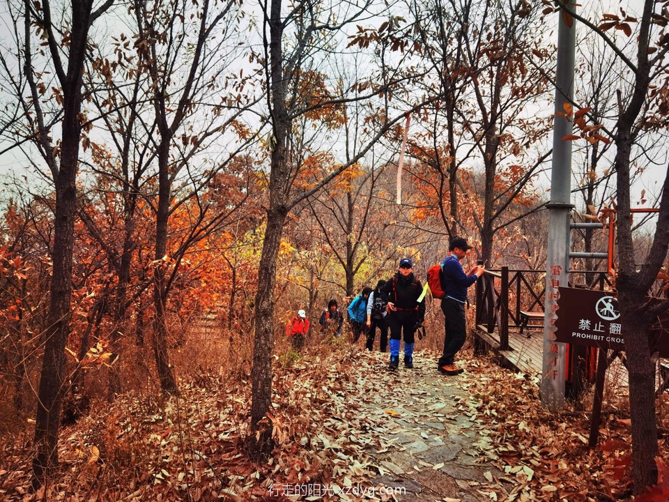 IMG_20221109_104329_edit_1216475387312