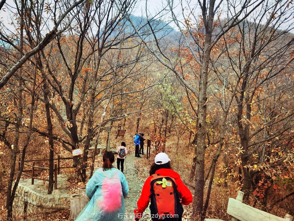 IMG_20221109_104335_edit_1206904148772