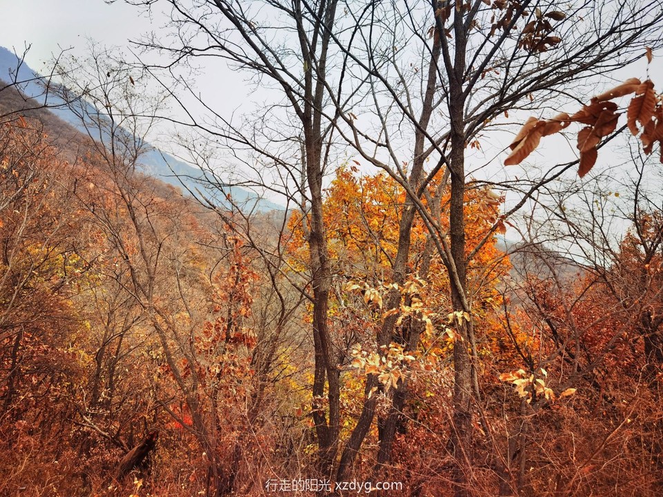 IMG_20221109_104340_edit_1196944107628