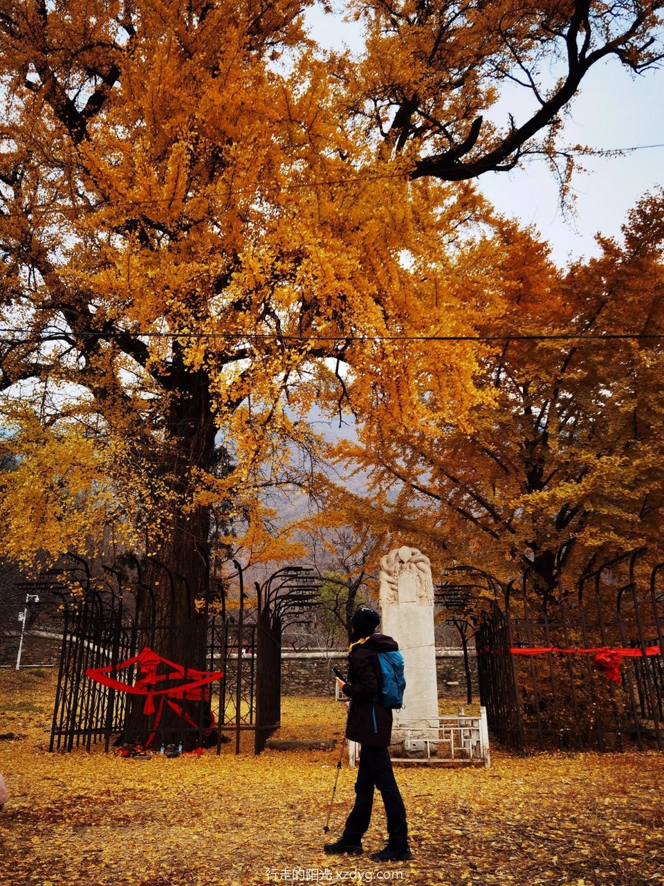 IMG_20221109_111115_edit_1138256840970