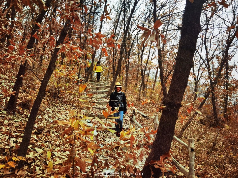 IMG_20221109_104921_edit_1164713389404