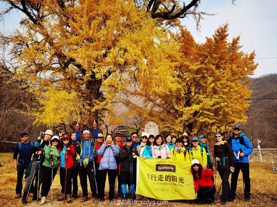 IMG_20221109_113142_edit_887661579029