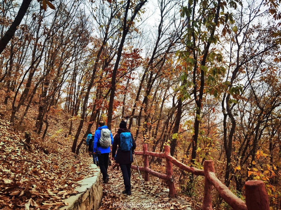 IMG_20221109_122215_edit_864895912887