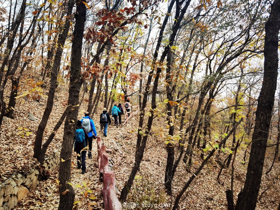 IMG_20221109_122222_edit_852814395701