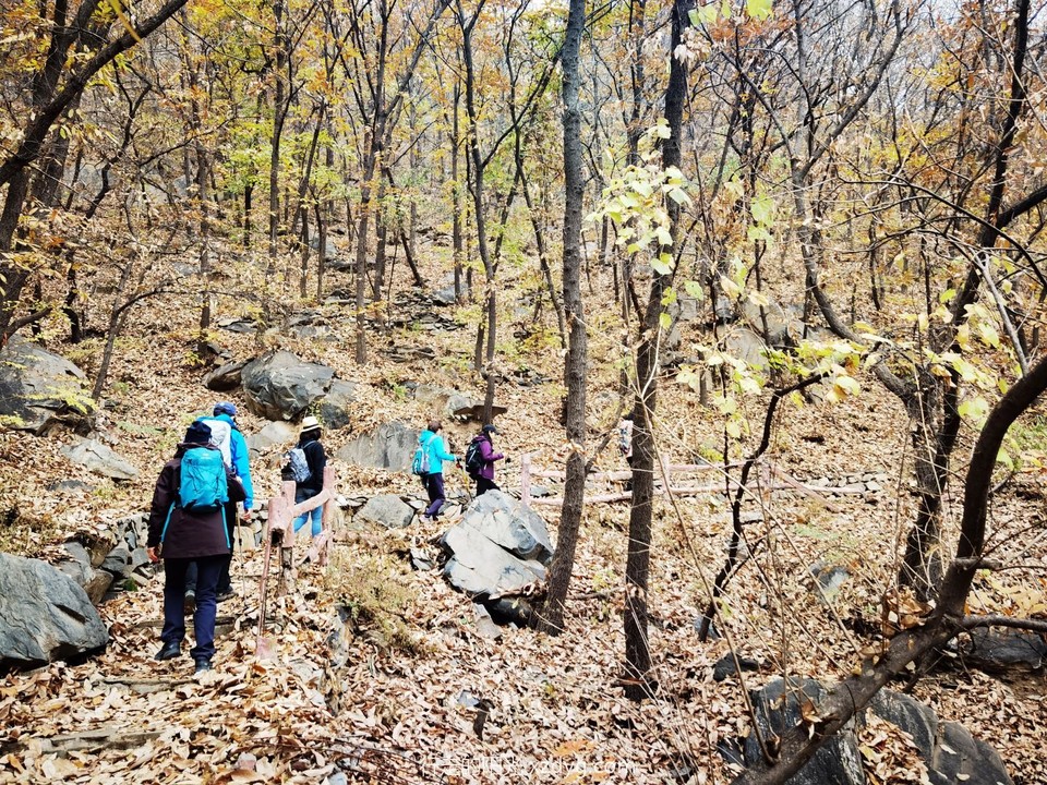 IMG_20221109_122431_edit_838389416537