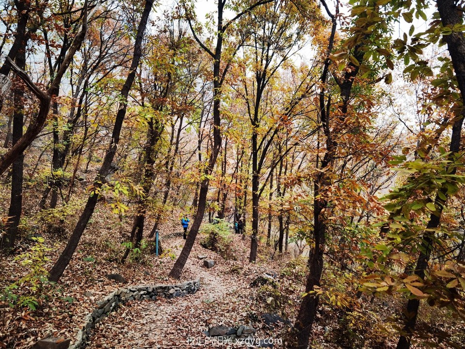 IMG_20221109_123105_edit_805144311334