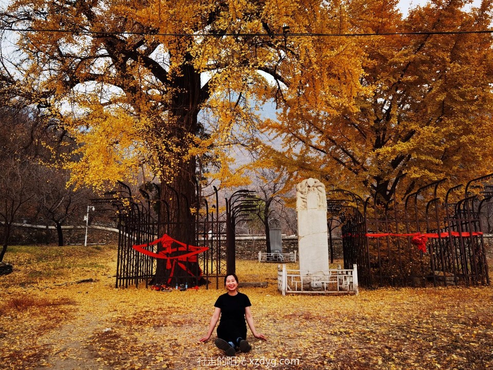 IMG_20221109_111334_edit_1062651105044