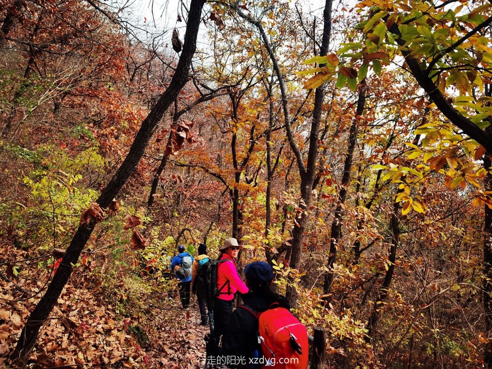 IMG_20221109_124508_edit_781496871754