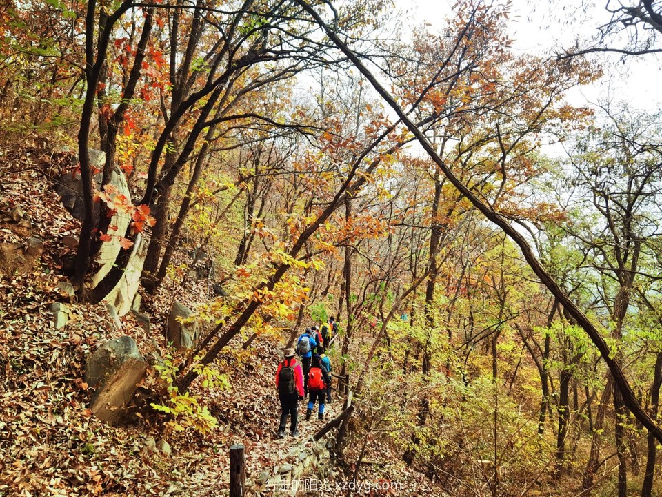 IMG_20221109_124244_edit_792059889461