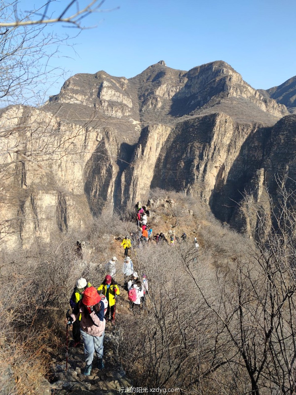 mmexport1668919777743_edit_398405570998061