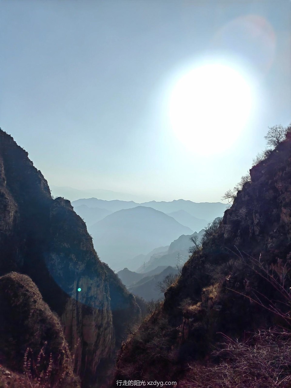 mmexport1668920039555_edit_398387082136605