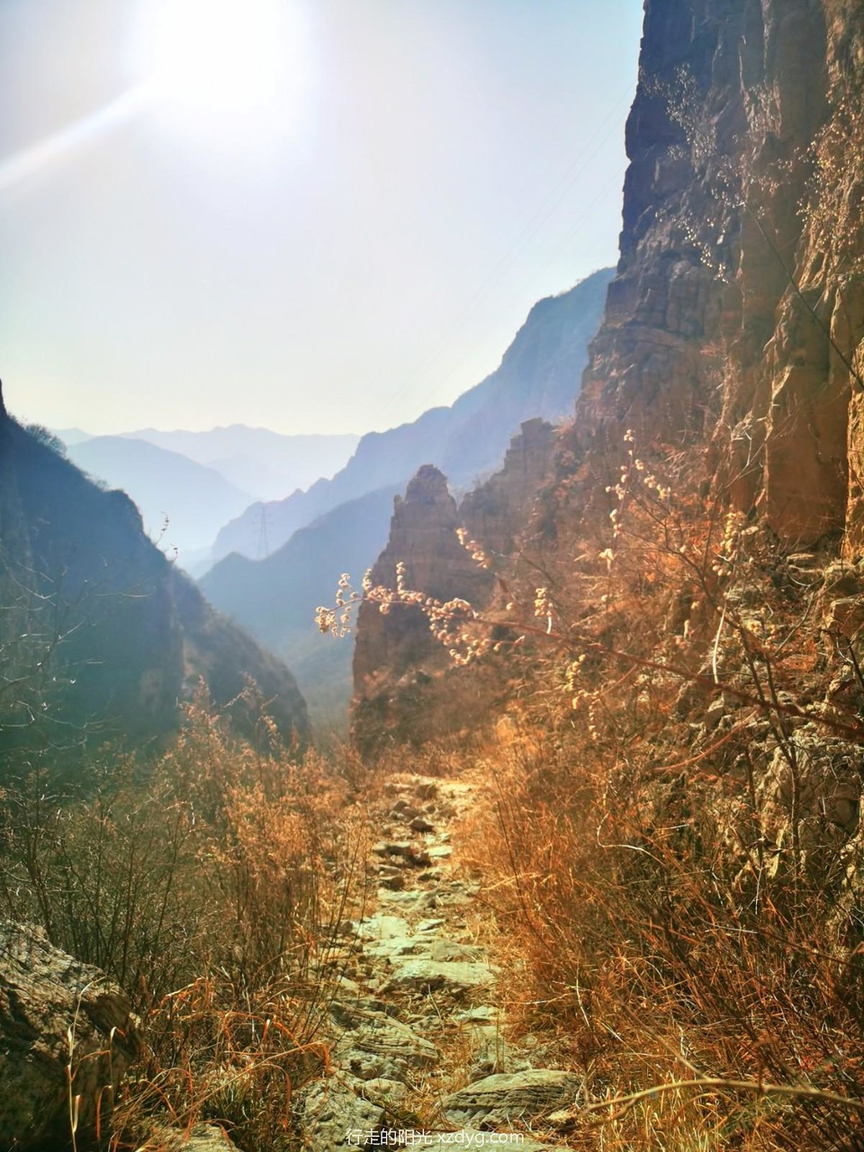 mmexport1668920078393_edit_398371137084004