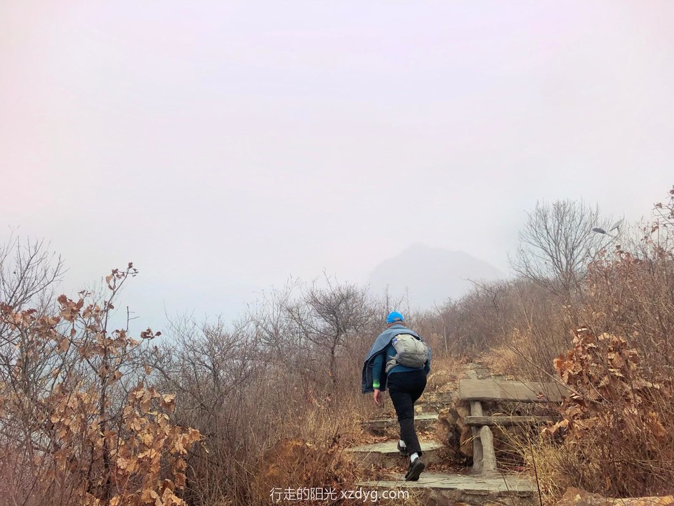 mmexport1669004852238_edit_445157251109156