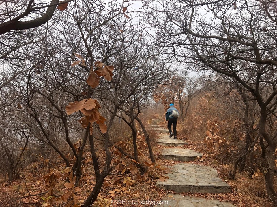 mmexport1669004881672_edit_445136533040930