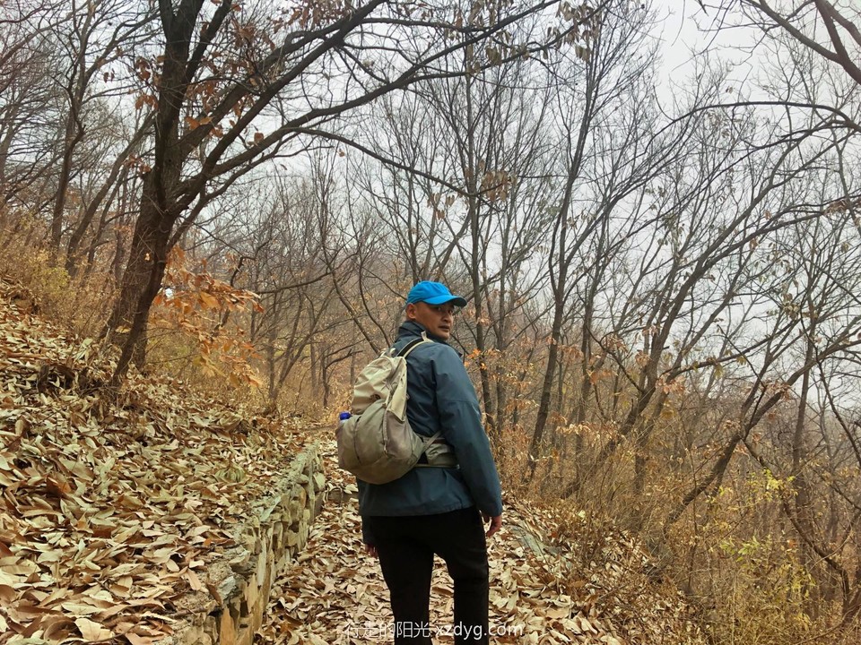 mmexport1669004900303_edit_445119706909683