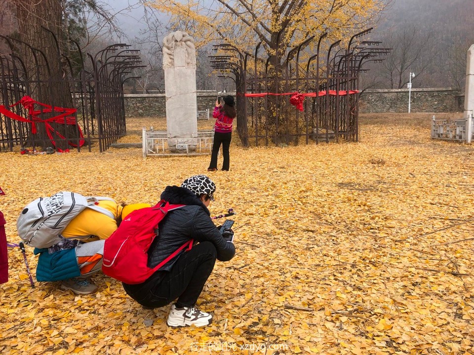 mmexport1669004917698