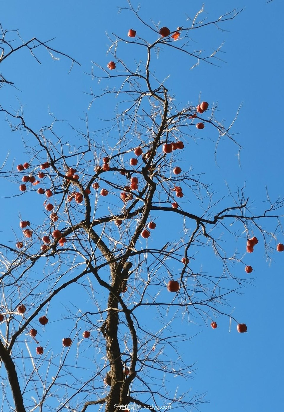 mmexport1671885207735