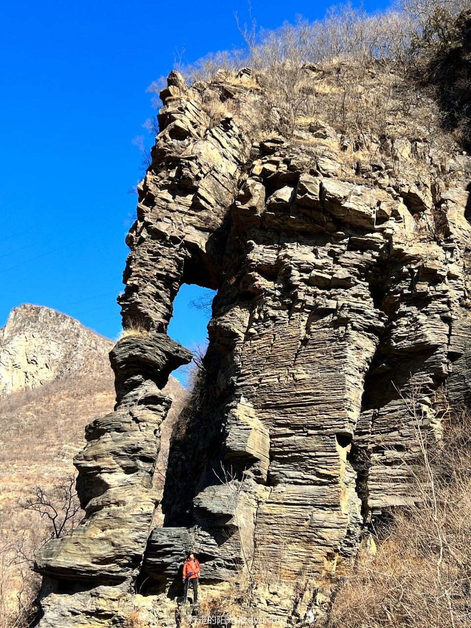 mmexport1671866870543_edit_390623552390914