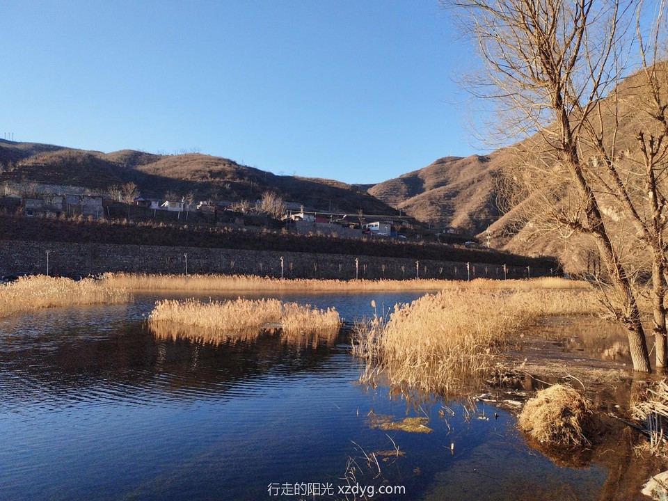 mmexport1671866556204