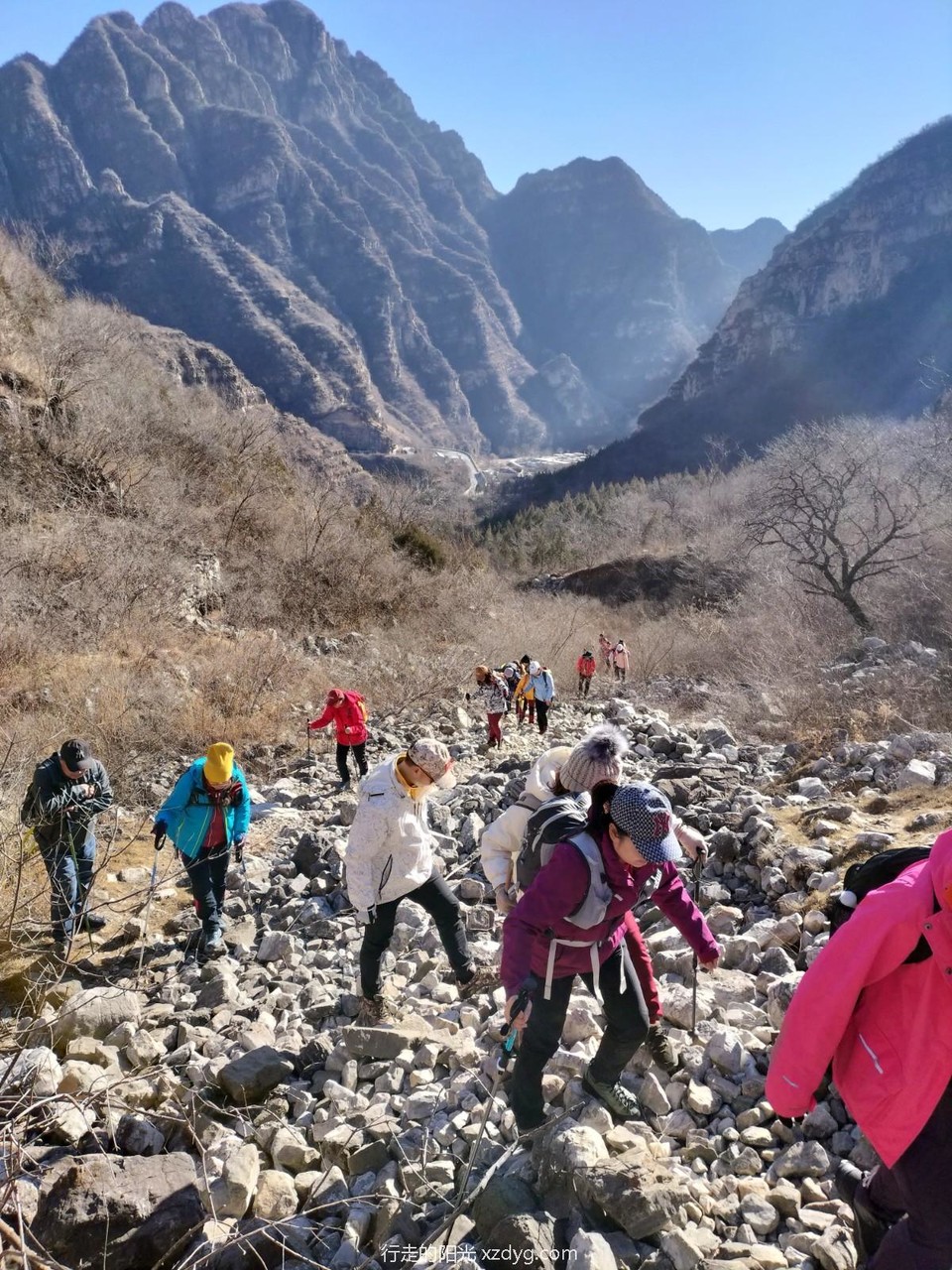 mmexport1675568883268_edit_1385452381291721