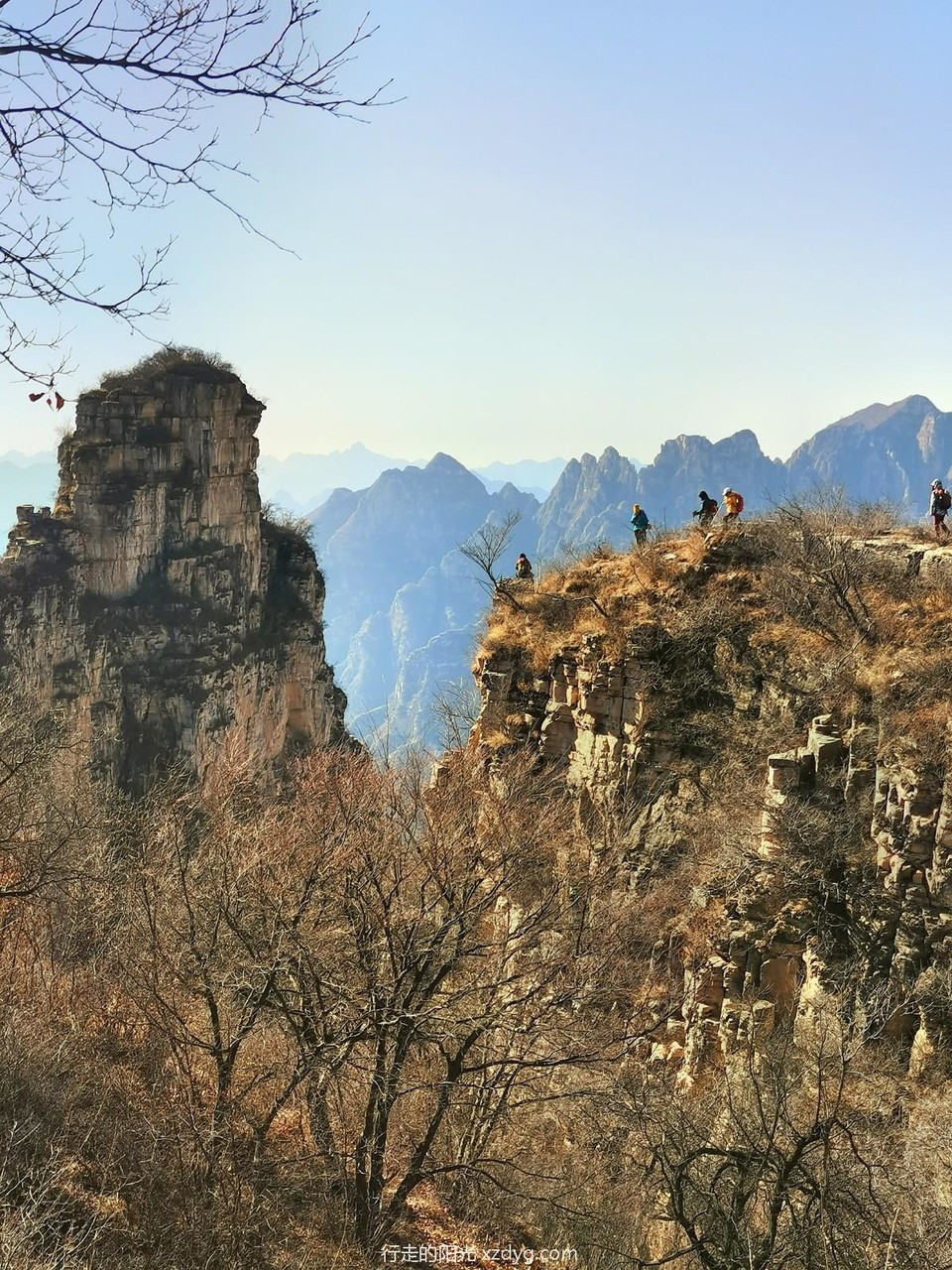 mmexport1675568435806_edit_1385528418350043