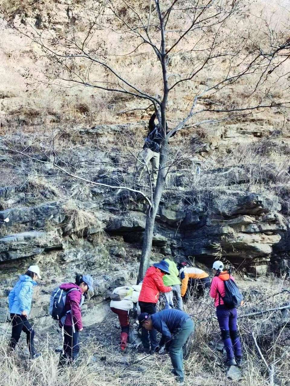 mmexport1675568380326_edit_1385538774989103