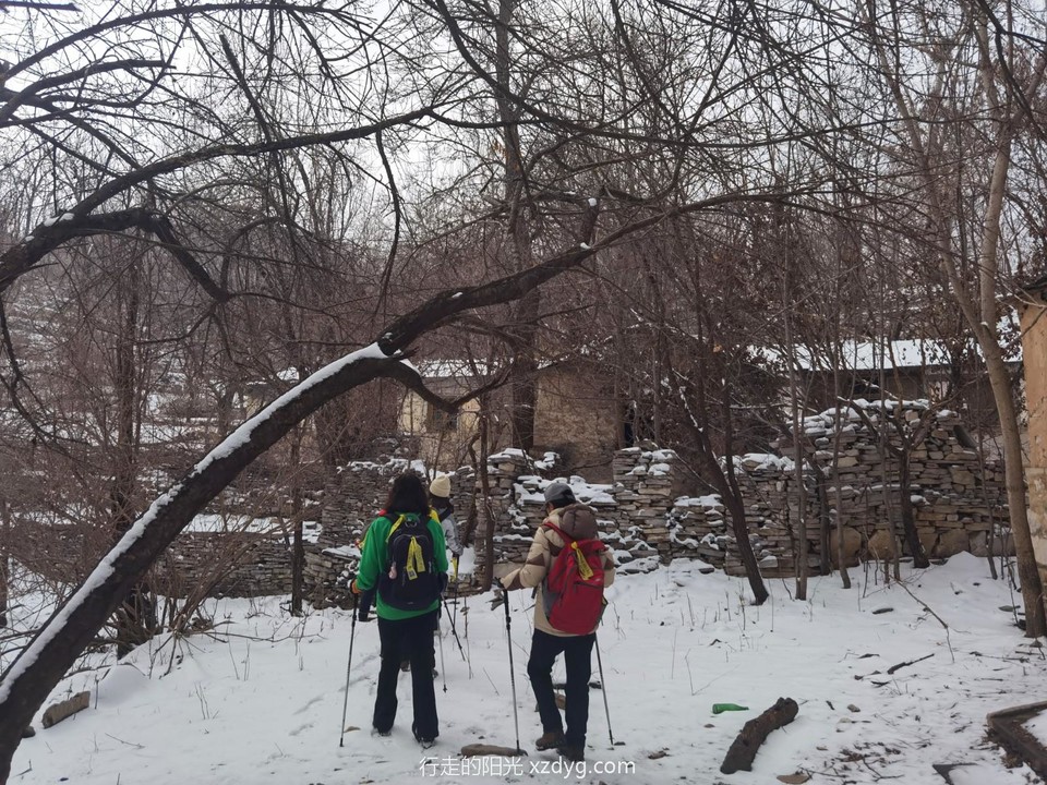 IMG_20230211_115101_edit_267729377278417