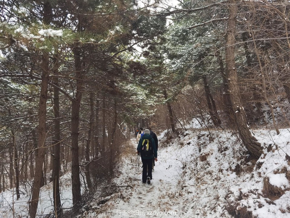 IMG_20230211_131649_edit_267644982085722