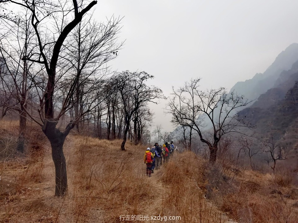 IMG_20230211_152052_edit_267564061422713