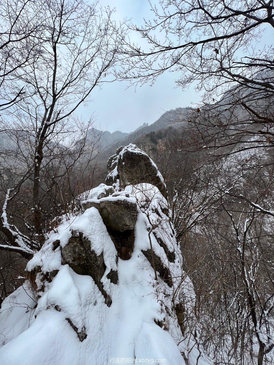 mmexport1676172690190