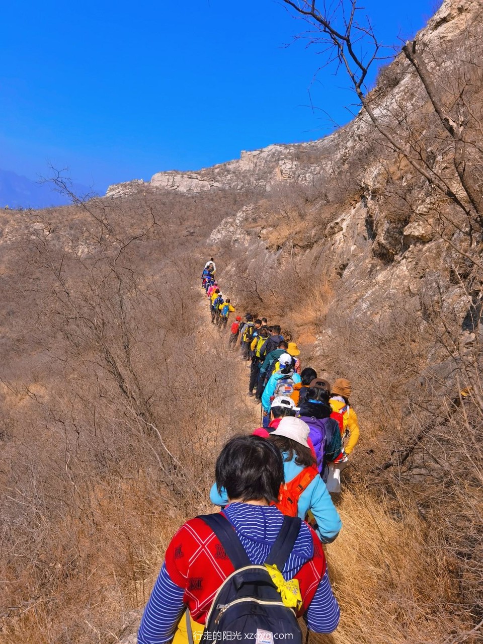 mmexport1677971129633