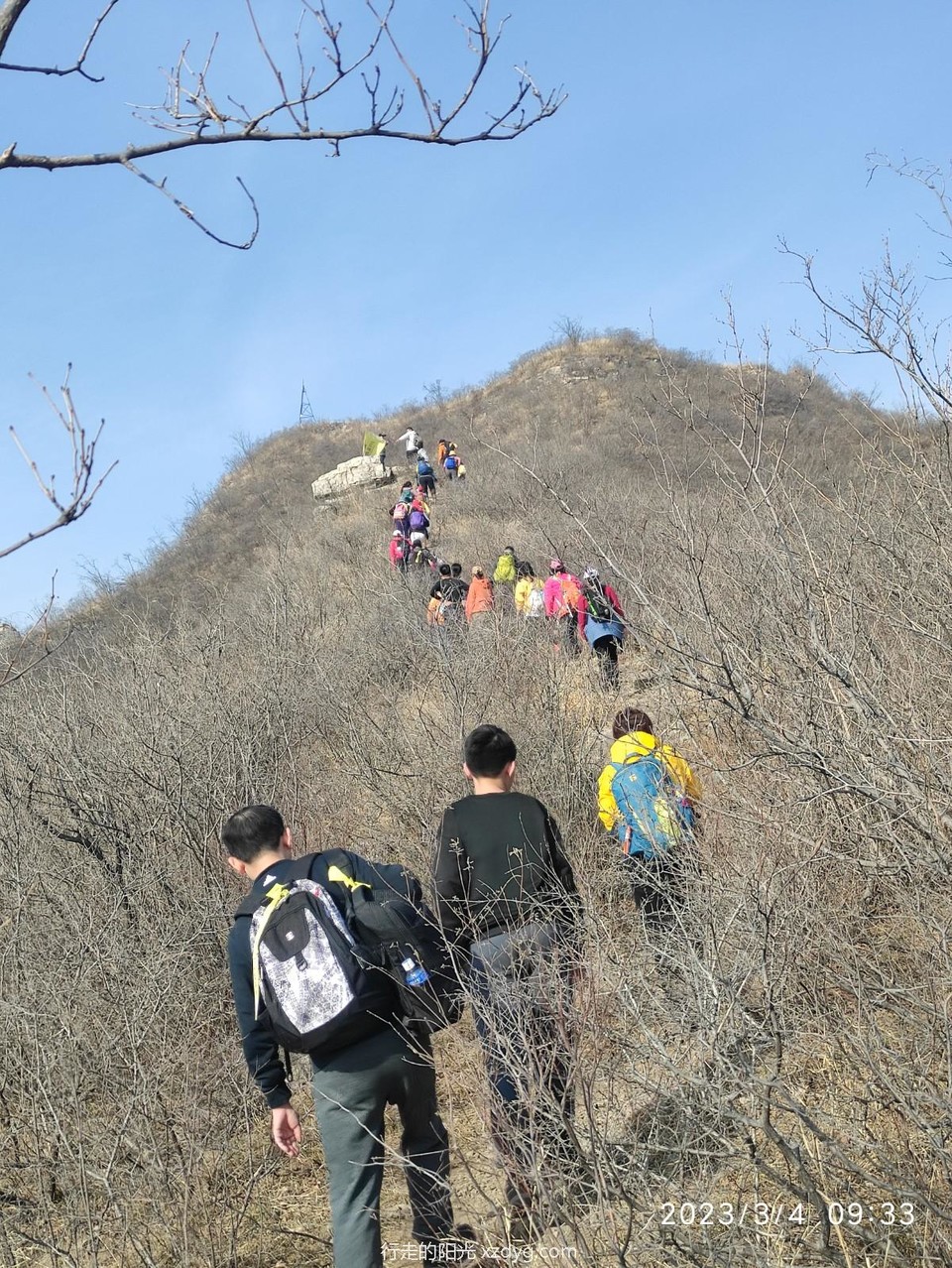 mmexport1677971169435