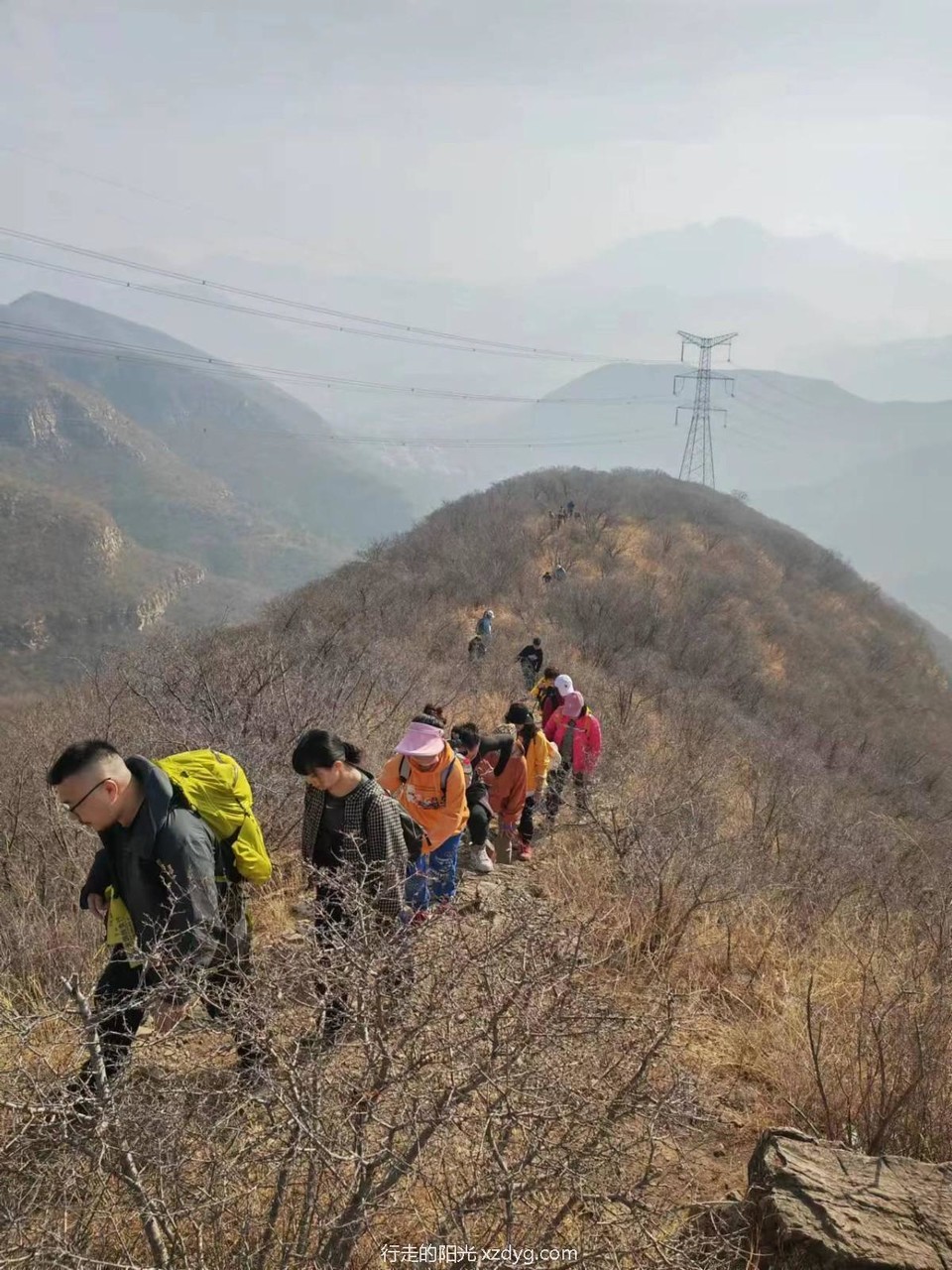 mmexport1677971190530