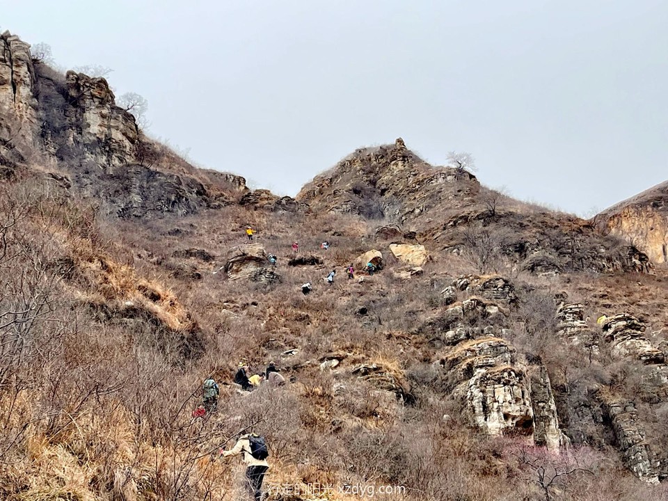 mmexport1678705265234_edit_315907430226795