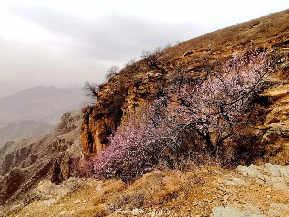 mmexport1678705138105_edit_318409078845164