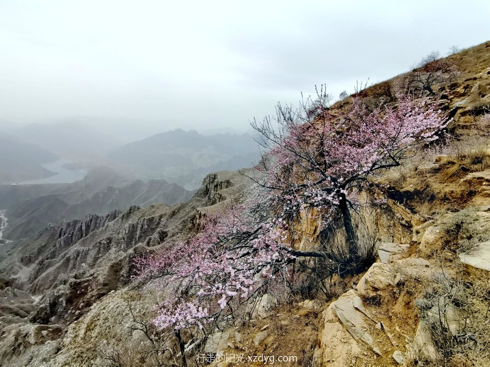 mmexport1678705125218_edit_318428828950369