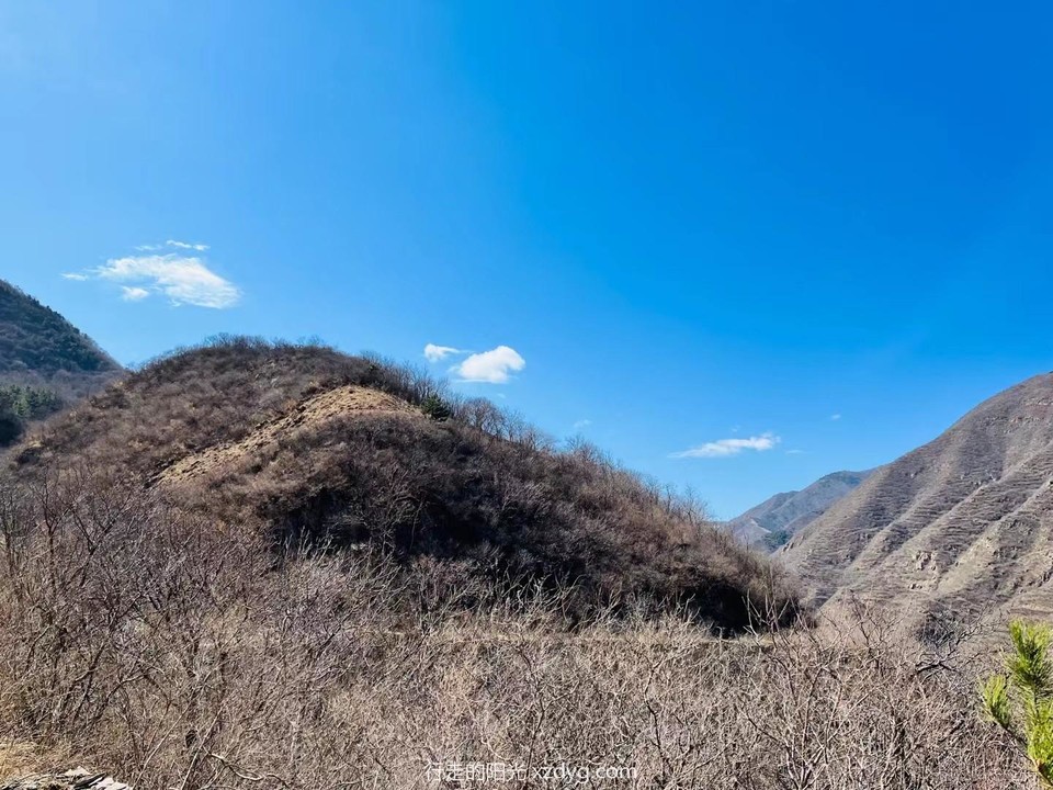 mmexport1678627229738